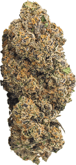 Berry Bliss