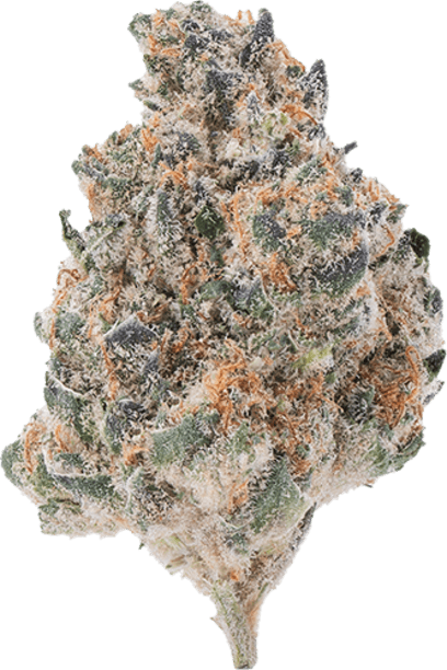 Ghst Mlk image 1