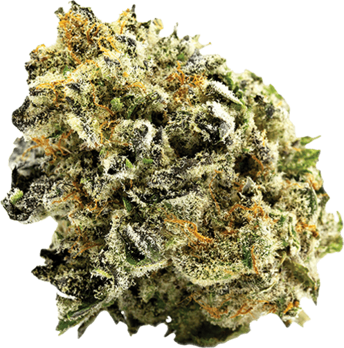 Grape Punch image 1