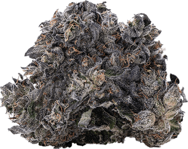 Mnt Diesel