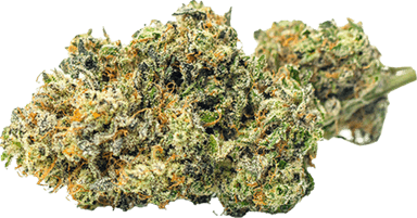 Sour Kush