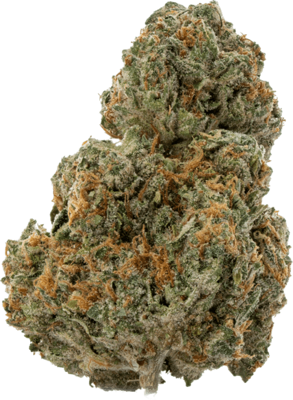 Bostn Crem image 1